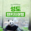 판다바구니 이미지