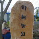 정순옥농장 이미지