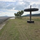 율포솔밭해변1 이미지