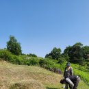 (재)갑산공원묘원 이미지