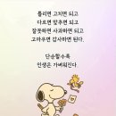 품위와 여유를 갖는 문인화 | 우리는 고독할 기회가 적기 때문에 외롭다』 — 후기자본주의 시대를 꿰뚫는 깊은 성찰과 우리 삶의 질문
