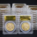 금화애견 이미지