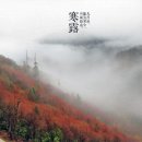 신비의소나무 앞 이미지