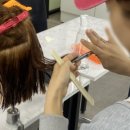 헤어미용사 이미지
