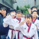 한국체대 참태권도장 이미지