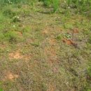 광개토부동산중개사무소 이미지