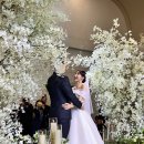 정희축사 이미지