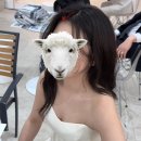 오렌즈중앙로점 | [W1-1] 부산 고스튜디오 후기 (feat. 하루종일 비 🌧️)