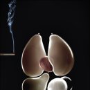 STAY 핀다 이미지