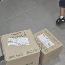 상하농원 수박 정기배송 내돈내산 후기 수박씨 쉽게 제거하는법