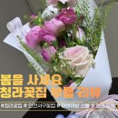 승진이네 | 봄을 사 오는 곳, 인천 서구 꽃집 청라꽃 '부들' 후기