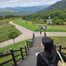 하늘발전소 | 경주 토함산 수목경관숲, 풍력발전소와 함께하는 숨은 힐링 산책길 - 찹쌀부부 여행기록지 숨은명소