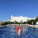 호텔 Alua suites Las rocas 알루아 스위트 라스 로카스 리조트 (저녁 뷔페,조식,위치,가격,부킹닷컴 예약)