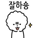 강아지 이발관 이미지