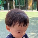 거송축산 네이버블로그
