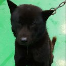 1공단1길 이미지