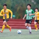김민수