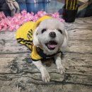 놀이터식당 이미지