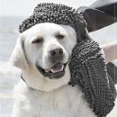 도기슈퍼 이미지