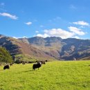 동남축산 이미지