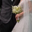 로얄파크 이미지