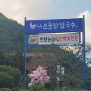 나븐들닭칼국수 네이버블로그