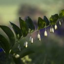 침묵속에피어나는우리 이미지