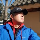 노르웨이의 숲 이미지