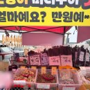 지에스(GS)25 기장대변항점 | 기장 낚시포인트(3시간 4마리)·영주아줌마 오징어 버터구이