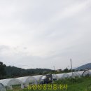 뉴포천공인중개사사무소 이미지