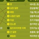 세무뉴스
