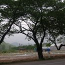 박정자농장 이미지