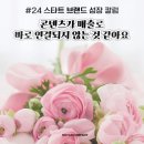 눈에 보이지 않는 매출, 콘텐츠가 심는 기억의 씨앗 SNS 홍보 전문 [로야스컴퍼니]