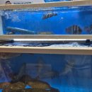 지에스25광진구의역 이미지