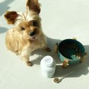 제일바이오펫 이미지