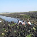 신창성이시돌어린이집 이미지