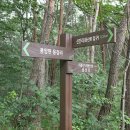 의봉농장 Daum카페