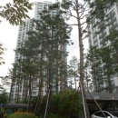 철인부동산공인중개사사무소 이미지