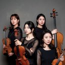클래식시네마파라디소 이미지