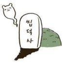 고양이 앞 발 엑스레이 이미지