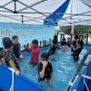 공립군남 이미지