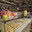 현대애견 이미지