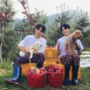 퍼피프린스 이미지