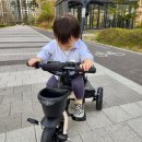 두돌아기 삼천리 비타민 트라이크 플러스 내돈내산 세발자전거 조립, 사용후기