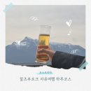 동유럽 신혼여행 잘츠부르크 여행 코스 | 하루 만에 다 돌아본 솔직 후기