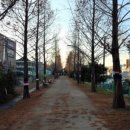 진산대로 이미지