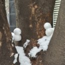 11620-1-25-3 | [일상] 25/1 후기(3): 돌아가봐여