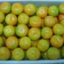 재진농장 이미지