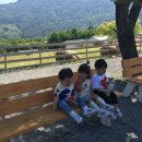 지우목장 이미지