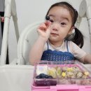 스낵얌 | 두돌 아기에게 딱 맞는 사이즈 어린이집 소풍도시락 얌박스 미니스낵